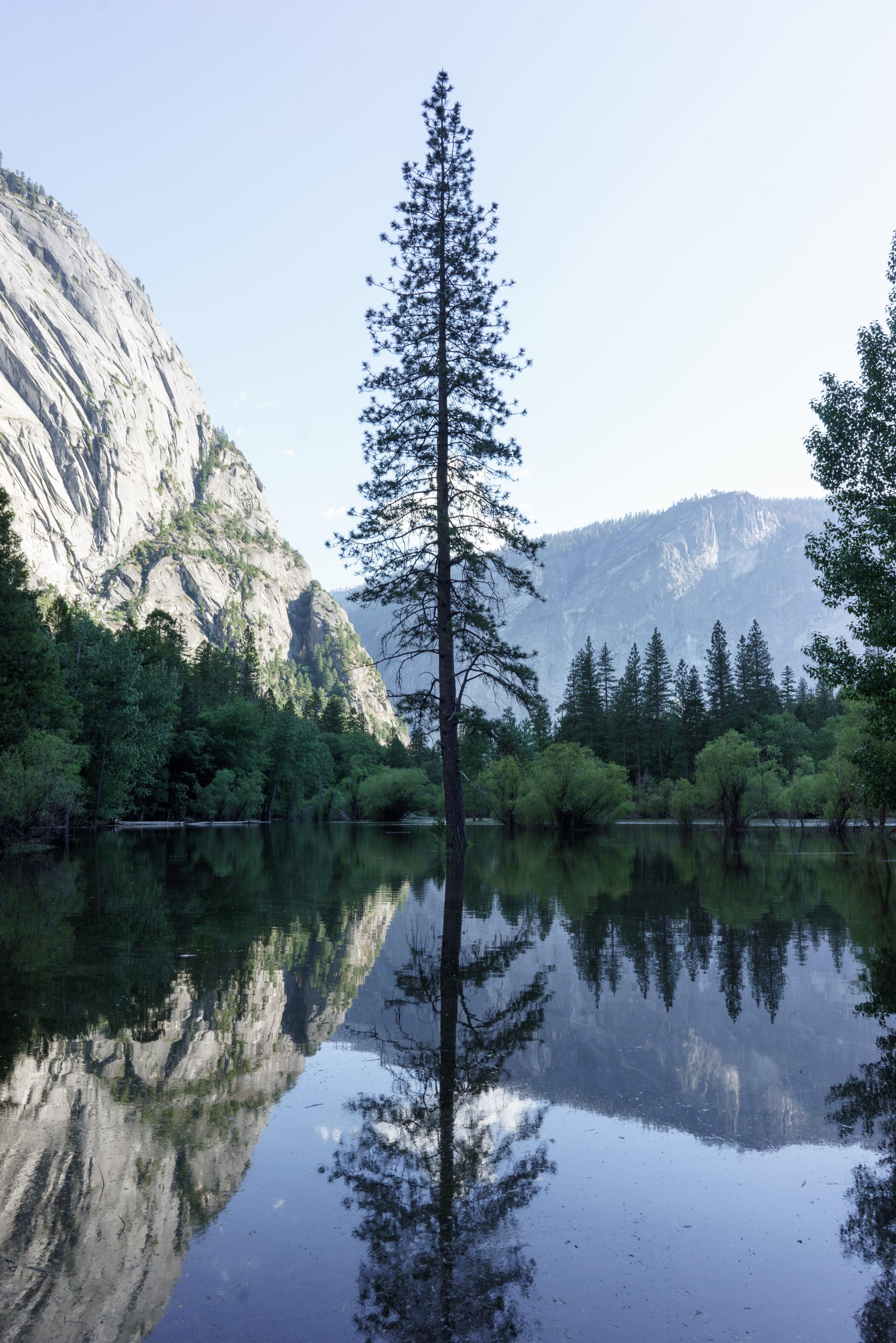 <span id="hs_cos_wrapper_name" class="hs_cos_wrapper hs_cos_wrapper_meta_field hs_cos_wrapper_type_text" style="" data-hs-cos-general-type="meta_field" data-hs-cos-type="text" >Projectdashboard gewerkte uren in maanden en ISO-weken – deel 2</span>